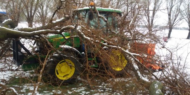 Yarım asırlık dut ağacı traktörün üzerine devrildi