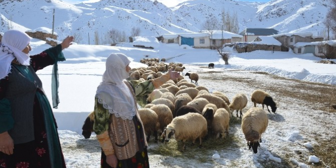 Hakkari Yüksekova’da aylardır kapalı olan köy yolu açıldı