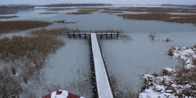 Efteni Gölü Abant’a rakip olacak