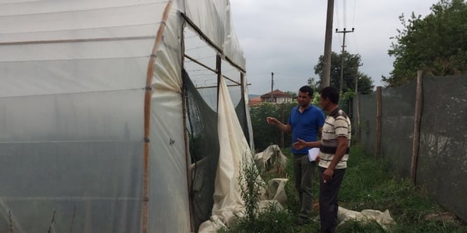 Serası hasar gören üreticilere Büyükşehir’den destek