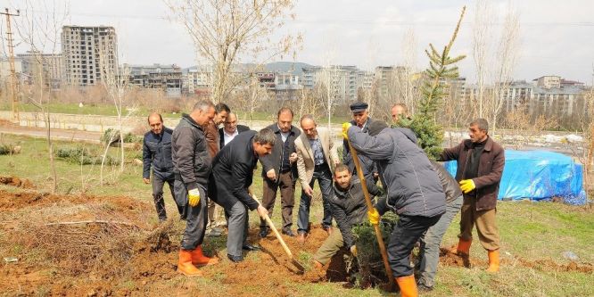Muş’ta fidan dikimi yapıldı