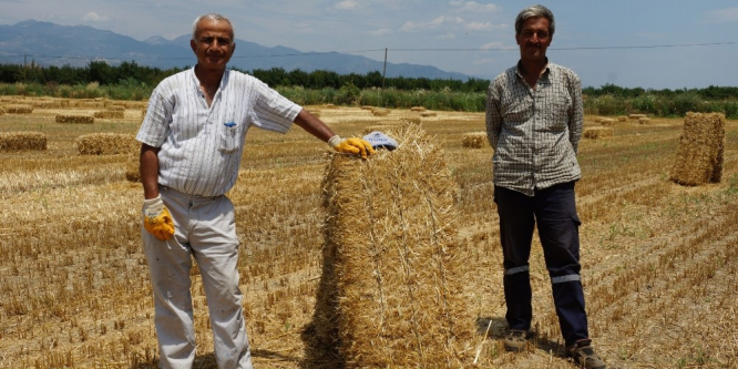 Sıcağı en çok harmanda çalışanlar hissediyor