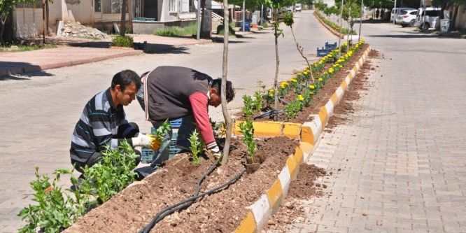 Yazlık çiçek dikimi devam ediyor
