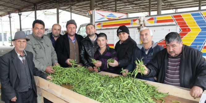 Ödemiş’te bakla ve bezelye vakti