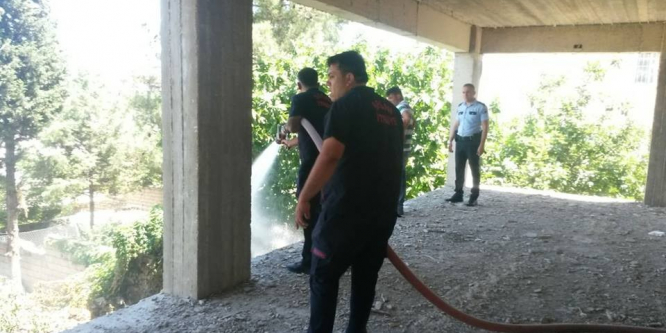 Bahçe yangını paniğe yol açtı