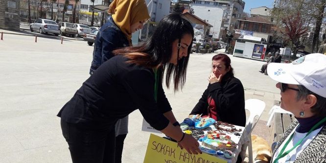 Sokak hayvanları aşılandı