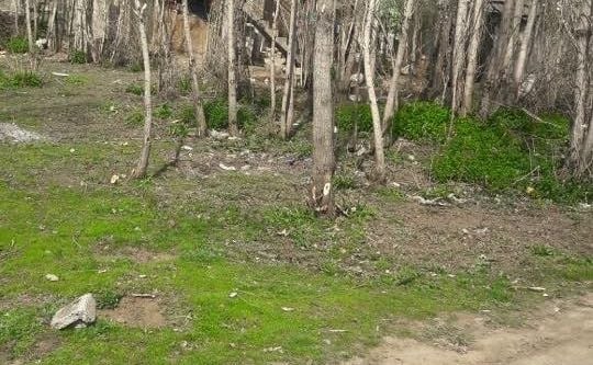 Güroymak’ta yeni yollar açılıyor