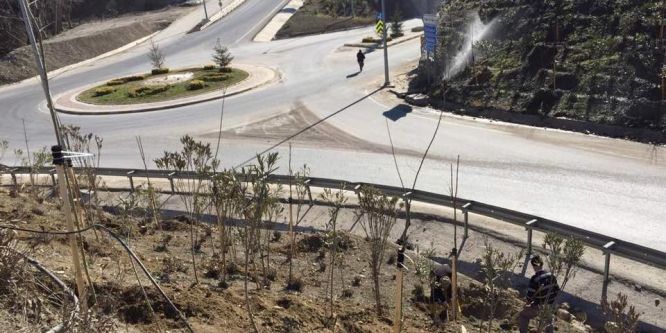 Vezirhan Beldesi yeşilleniyor