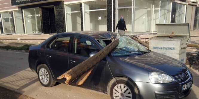 Telefon direği seyir halindeki otomobilin üzerine düştü