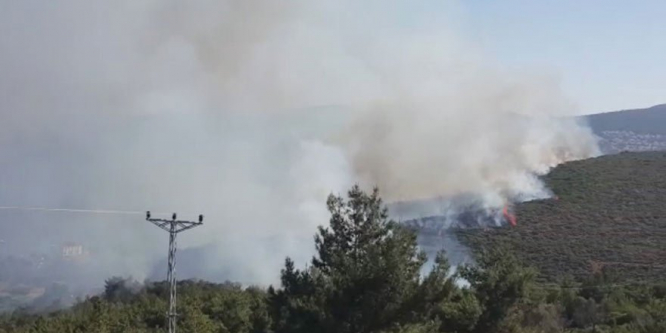 İşte zayıflamanın doğal yollardan çaresi