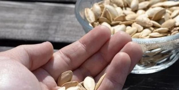 1 avuç kabak çiğneyin, bakın ne oluyor!