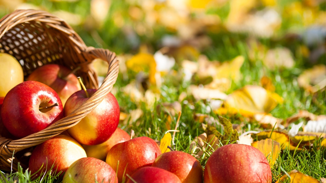 '1 ay içinde elimizde elma kalmayacak'