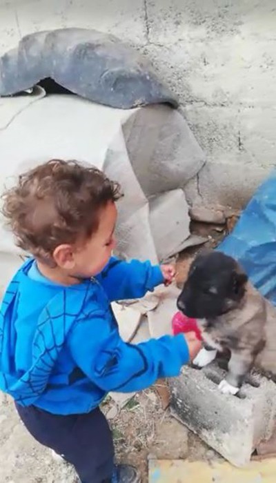 1 buçuk yaşındaki çocuk ile yavru köpeğin dostluğu yürekleri ısıttı 