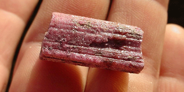 1 gramı bile servet değerinde... Bulanın sırtı yere gelmiyor