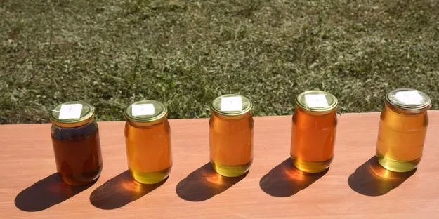 1 kilo bal bakın kaç liraya alıcı buldu!