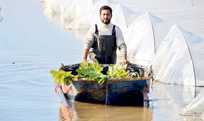 1 kilo patlıcan, 1 kilo tavuk parasına geldi