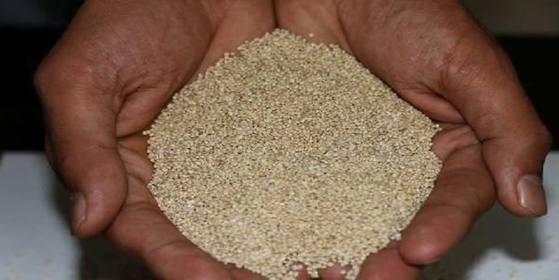 1 kilosu 10 kilo ete eşdeğer!