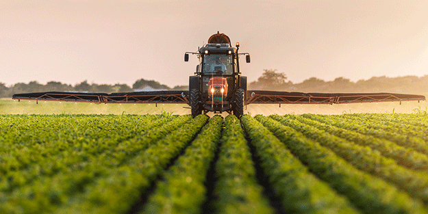 1 milyarı aşkın borcu var! Türkiye'nin tarım kralı iflas ediyor