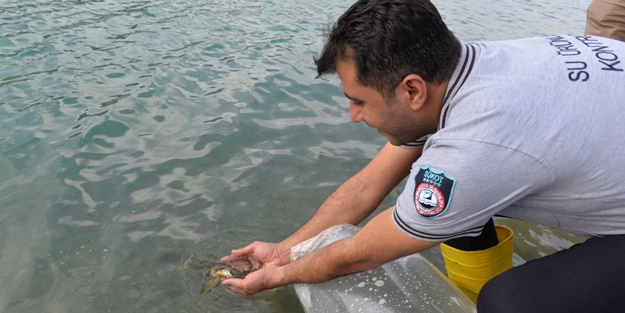 1 milyon 489 bin tane! Kahramanmaraş'ta baraj ve göletlere bırakıldı