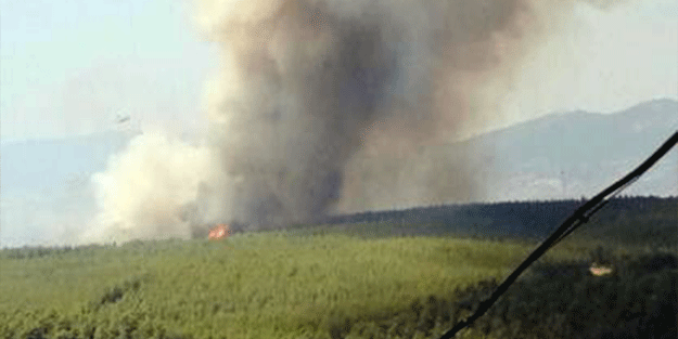 1 sigara izmariti ile 160 hektar alan yok oldu