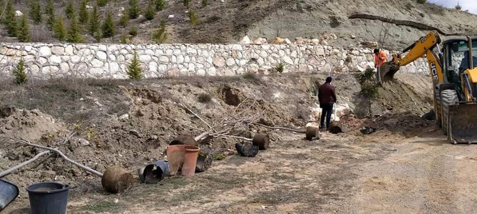 10 bin fidan toprakla buluştu 