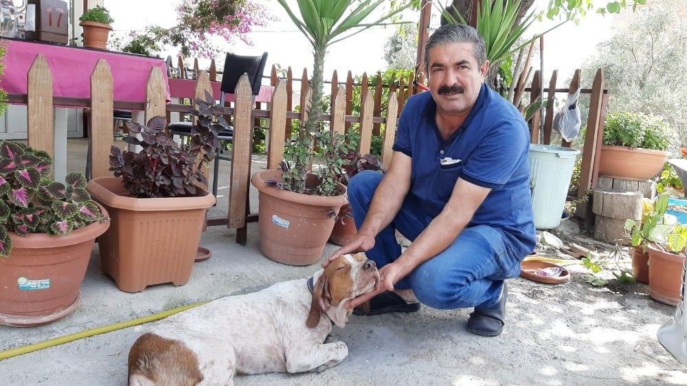 10 bin lira kredi çekip yaralı köpeği tedavi ettirdi 