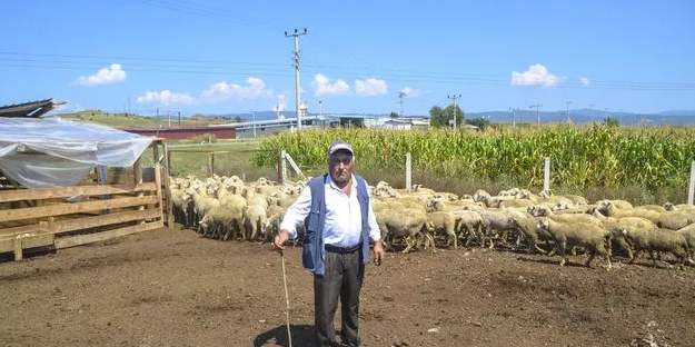 10 bin TL'ye çalıştıracak eleman bulamıyor! Hadi buyrun bakalım...