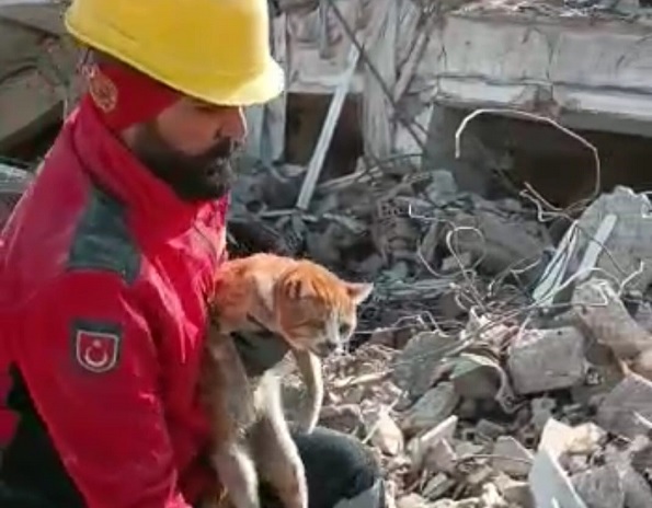 10 gün sonra kurtuldu! Minik kedi yüzleri güldürdü