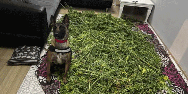 10 kilo uyuşturucu ele geçirildi