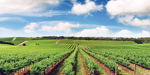 10 milyar dolarlık ithalata döviz freni