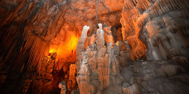 10 milyon yıldır yaşıyor! Bir kirpinin peşinden gidince buldular