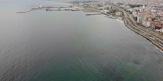 10 yıl sonra geri döndü! Marmara'da korkulu rüya