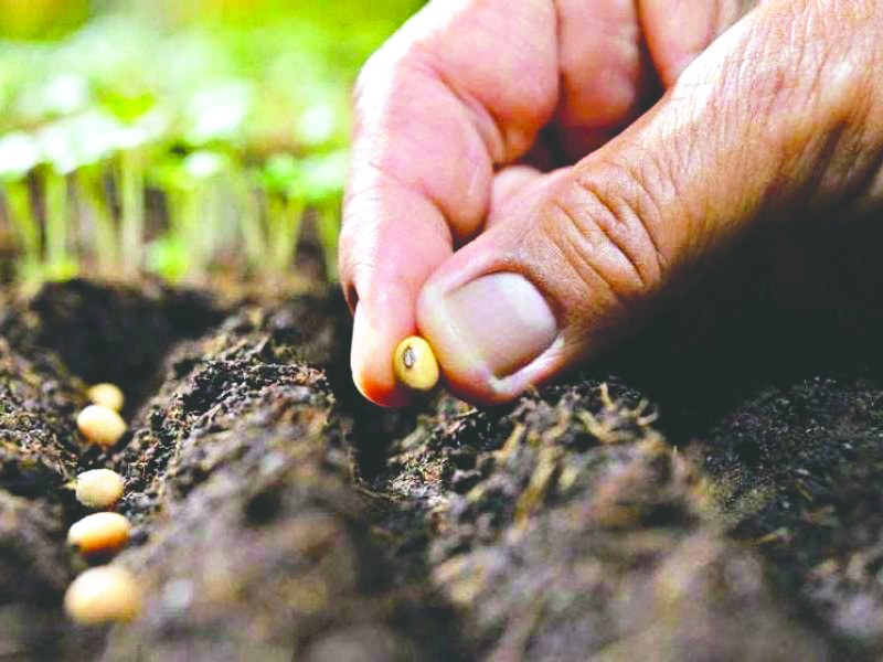 10 yılda yüzde 100 büyüyen tohumculuk sektörü büyümeye hız verecek