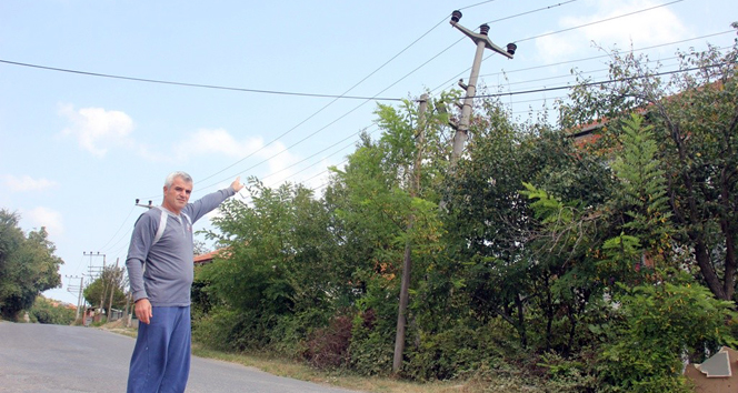 10 yıldır yan duran direk