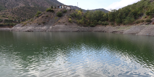 100 bin tane! Baraja bıraktılar