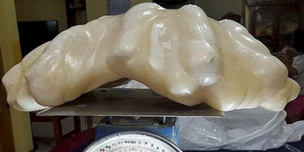 100 milyon dolarlık inci buldu