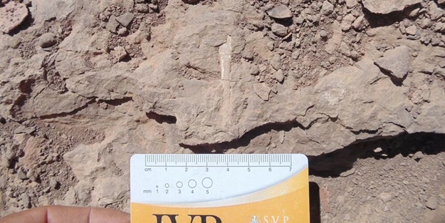 100 milyon yıllık! Şili'de heyecan verici keşif