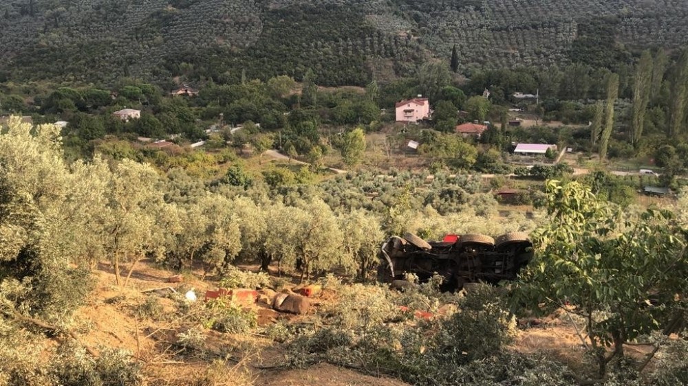 100 tonluk vinç zeytinliğe yuvarlandı 