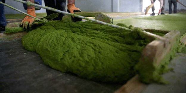 105 ülke sırada! 4 ayda gelen para dudak uçuklattı! Araplar onun için servet ödüyor