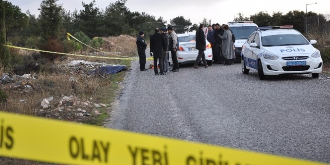 Döverek öldürüp ormanlık alana attılar