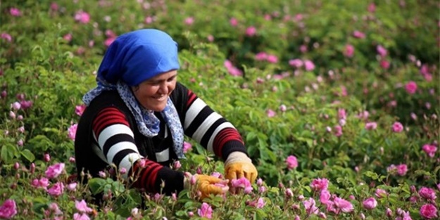 11 aylık emeğin karşılığını 25 günde alıyorlar