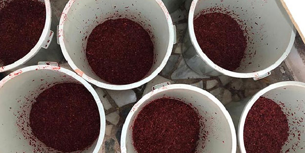 11 ilde eş zamanlı operasyon! Böyle yakalandılar