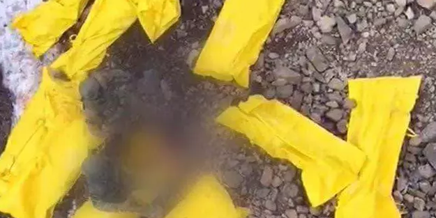 11 PKK’lı terörist sarı torbalık oldu