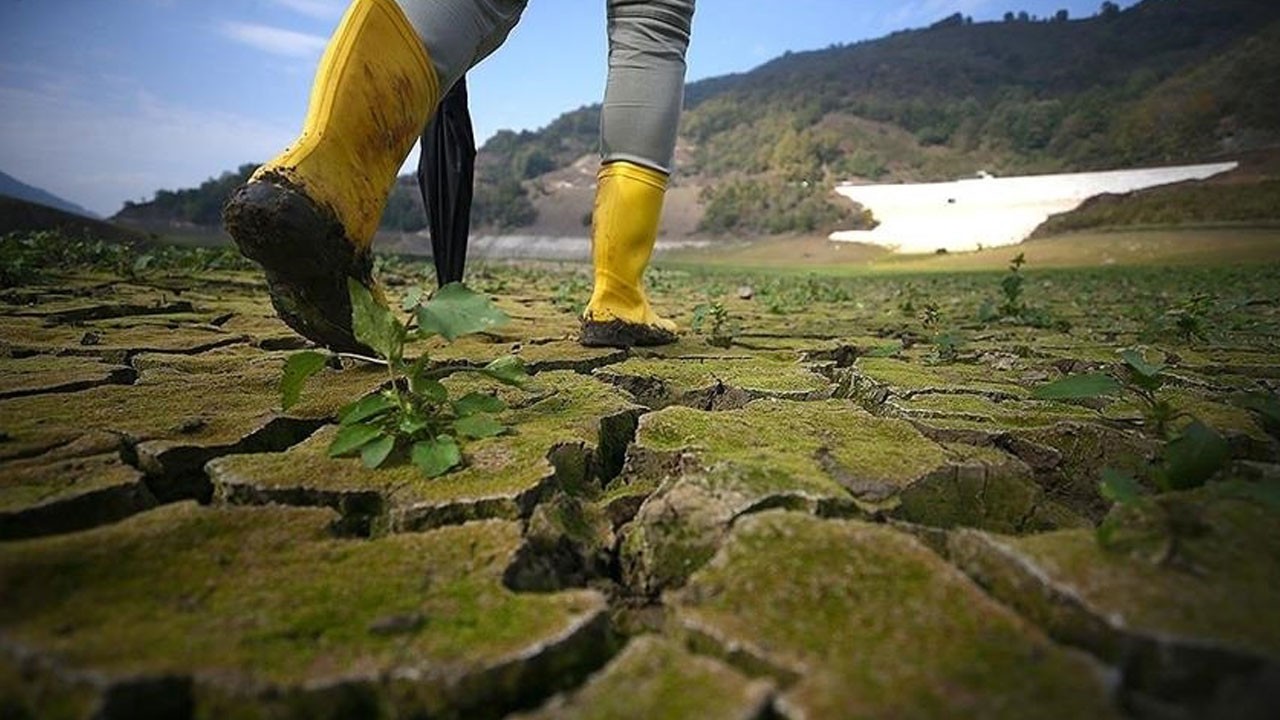 111 milyon risk altında! 2020 ve sonrası doğanları bekleyen büyük tehlike