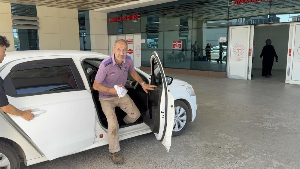 116 acemi kasap hastanelik oldu