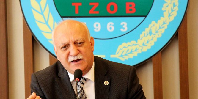 Muz üretimi tarihi rekor kırdı