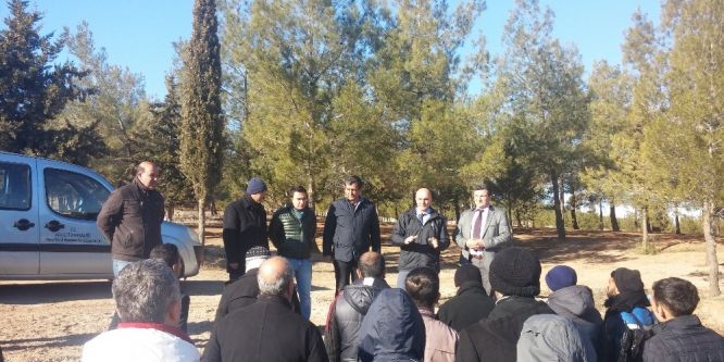 Adıyaman’da hükümlüler fidan dikti