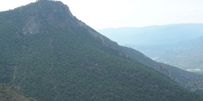 Karadeniz değil Sarıcakaya