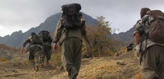 12 PKK'lı teslim oldu