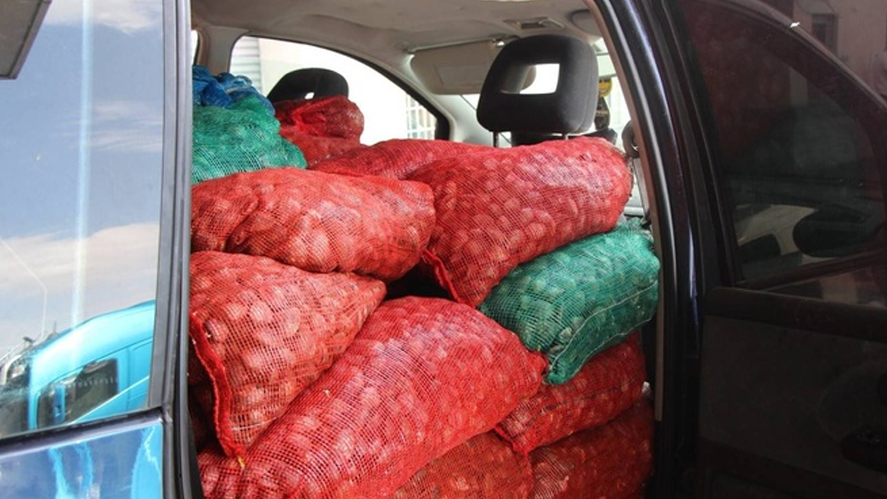 1,2 ton canlı kum midyesi ele geçirildi